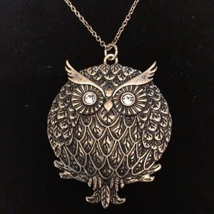 𝅺NWOT 16”Fun Owl Necklace